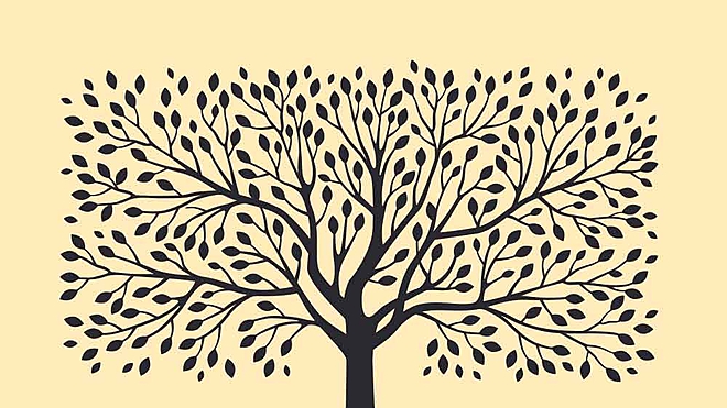 A flood of new businesses and new ideas are entering the Indian mutual fund industry