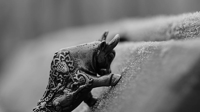 Micro caps with a bullish sentiment