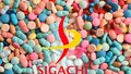 sigachi-industries-ipo-information-analysis