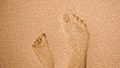 Walking in the footsteps of giants