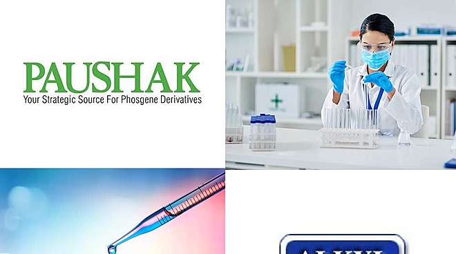 The decade's top wealth creators: Paushak and Alkyl Amines Chemicals