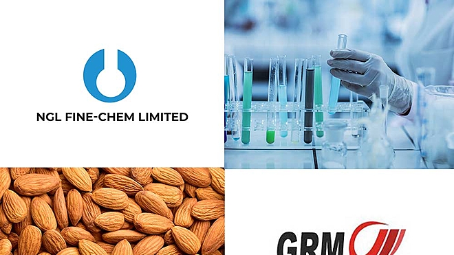 the-decade-s-top-wealth-creators-ngl-fine-chem-and-grm-overseas