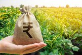 all-you-need-to-know-about-the-kisan-vikas-patra-scheme