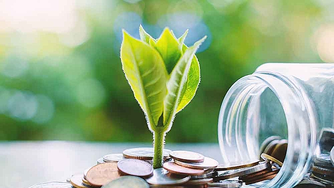 Read on to know how you can go about investing in an equity savings fund