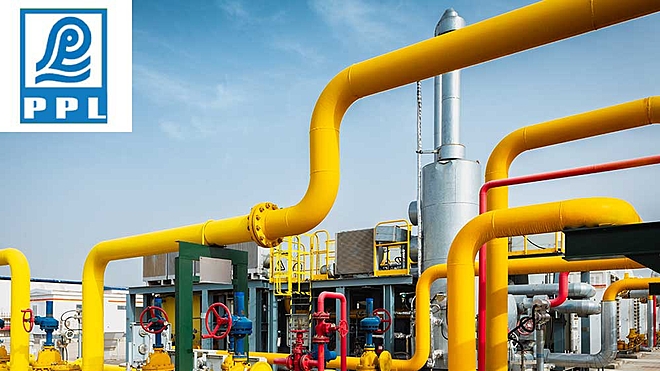 paradeep-phosphates-ipo-how-good-is-it