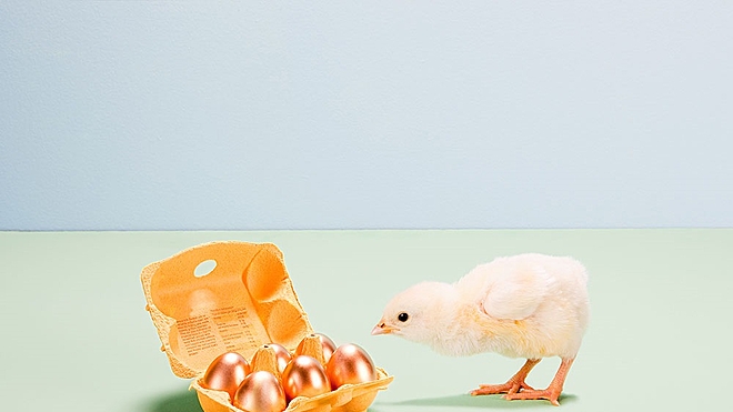 Mid-sized companies for wealth creation!