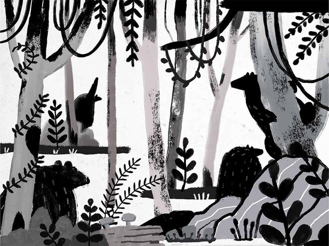 It’s (not) different this time too