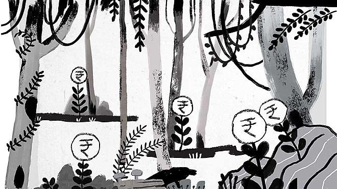 A jungle of mutual funds