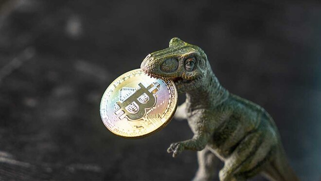 एक बुरी ख़बर: क्रिप्टो रैकेट बच जाएगा