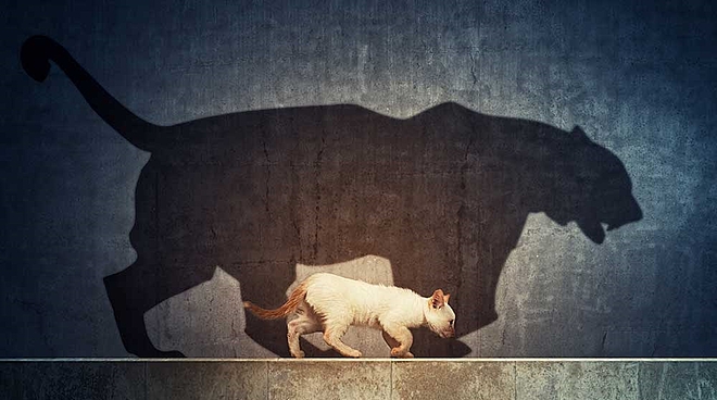 Small cap mutual funds: Things to keep in mind while investing