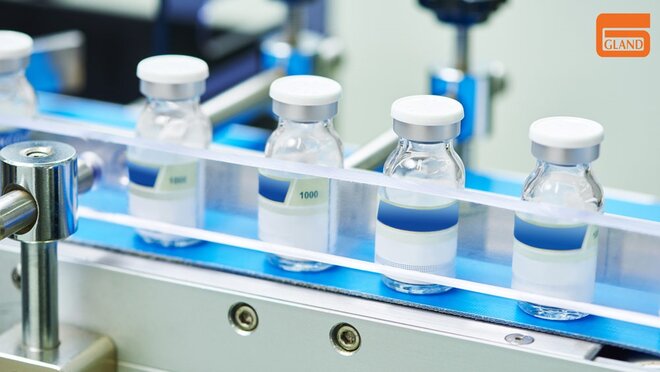 What is ailing Gland Pharma?