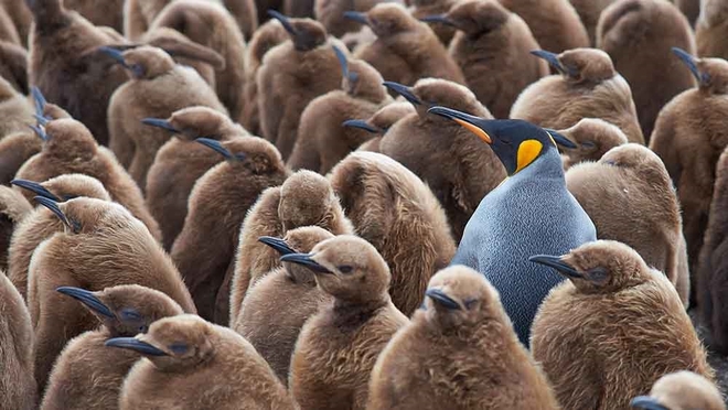 Floater funds | Floater fund meaning | Floater debt fund