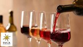 sula-vineyards-ipo-should-you-apply