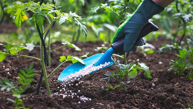 फ़र्टिलाइज़र इंडस्‍ट्री में पैसा लगाने से पहले ये ज़रूर पढ़ें