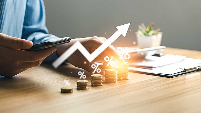 Here we tell you what money market funds are and if they can be a suitable investment option for you