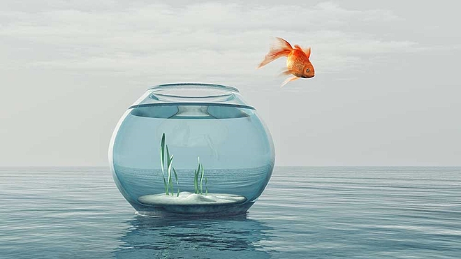 How to move your corpus to an equity fund?