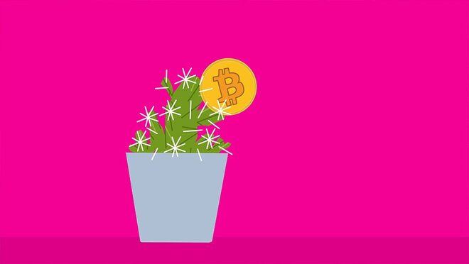 क्रिप्टो पर जादुई सोच