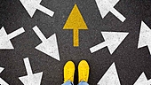 How to invest in direct plans