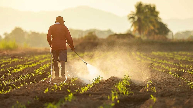 hold-your-horses-fertiliser-investors