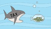 save-your-savings-from-the-new-tax-system
