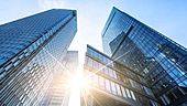 Are MNC funds worth considering?