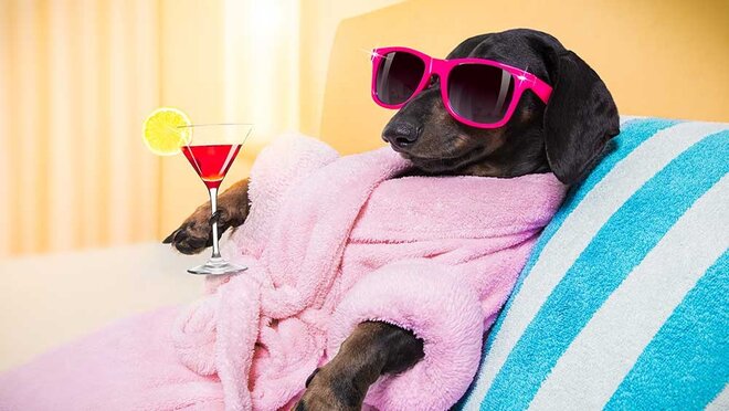 मुनाफ़े के लिए मूर्ख बना रहे हैं