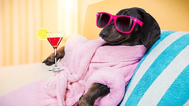 fooling-you-for-profit