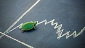 Kotak Equity Opportunities Fund: Holding steady
