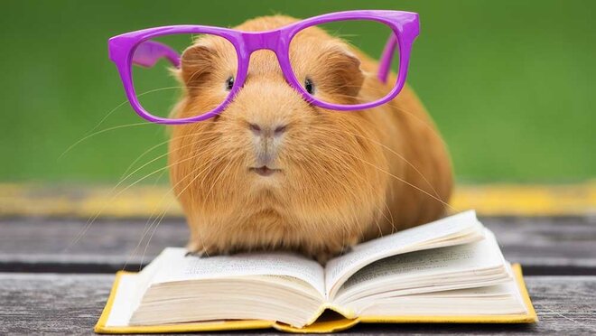 Whoops... there go our investment choices