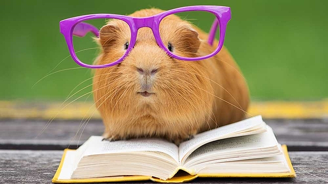 whoops-there-go-our-investment-choices