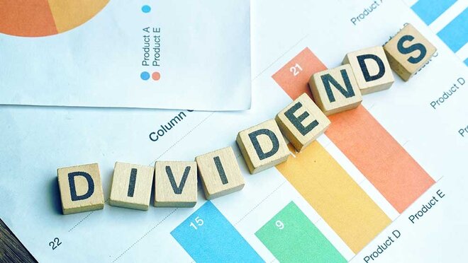 Dividend Yield Funds: 27% रिटर्न है तो क्या अभी करें इन्वेस्ट?
