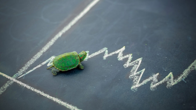 Regular income के लिए इस तरह फ़ंड चुनें