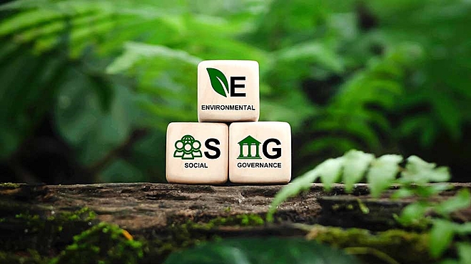 SEBI allows fund houses to launch multiple ESG schemes