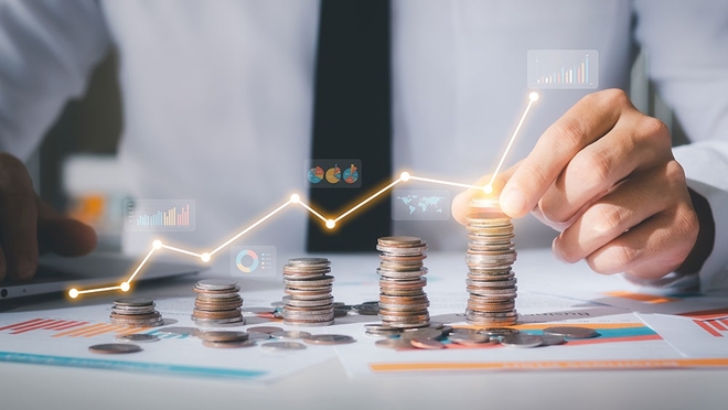 Small-Cap Funds: नगीने हैं या पत्थर?