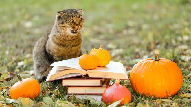 क्या AU स्मॉल फ़ाइनेंस बैंक अग्रेसिव हो रहा है?