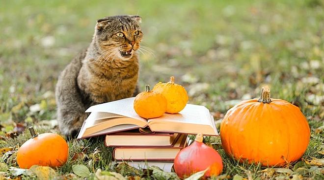 Is AU Small Finance Bank being aggressive?