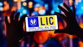 why-lic-is-losing-market-share-to-private-insurers