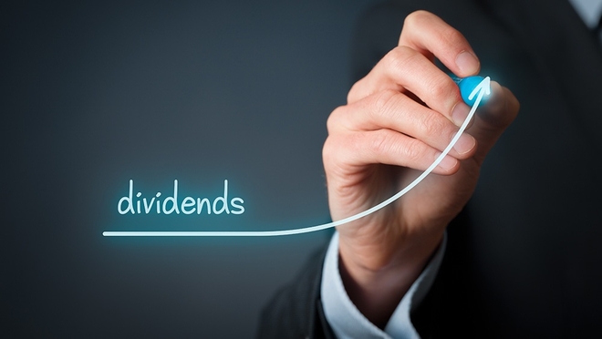The curious case of a 35 per cent dividend-yielding company