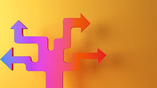 We explore Vikas Lifecare's wild ride of acquisitions and how it masters the art of diworsification