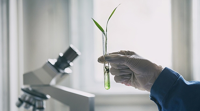 Indian agrochemical industry outlook: Challenges and recovery