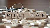 Mid-cap funds: A status check