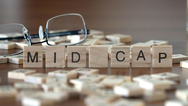 Mid-Cap Funds: कैसा रहा इनका परफ़ॉर्मेंस?