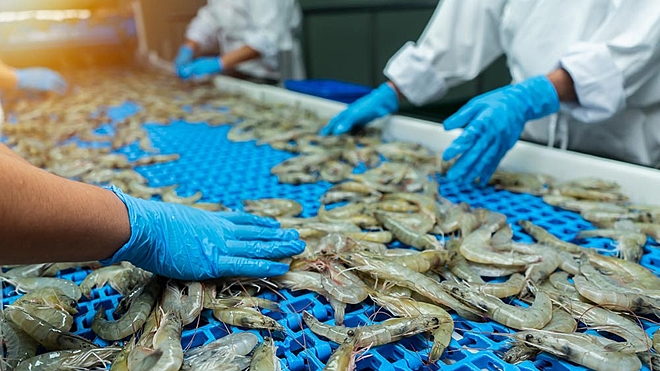 Here’s why the shrimp industry has crashed lately