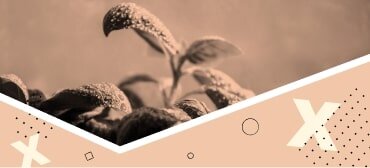 investing-for-growth