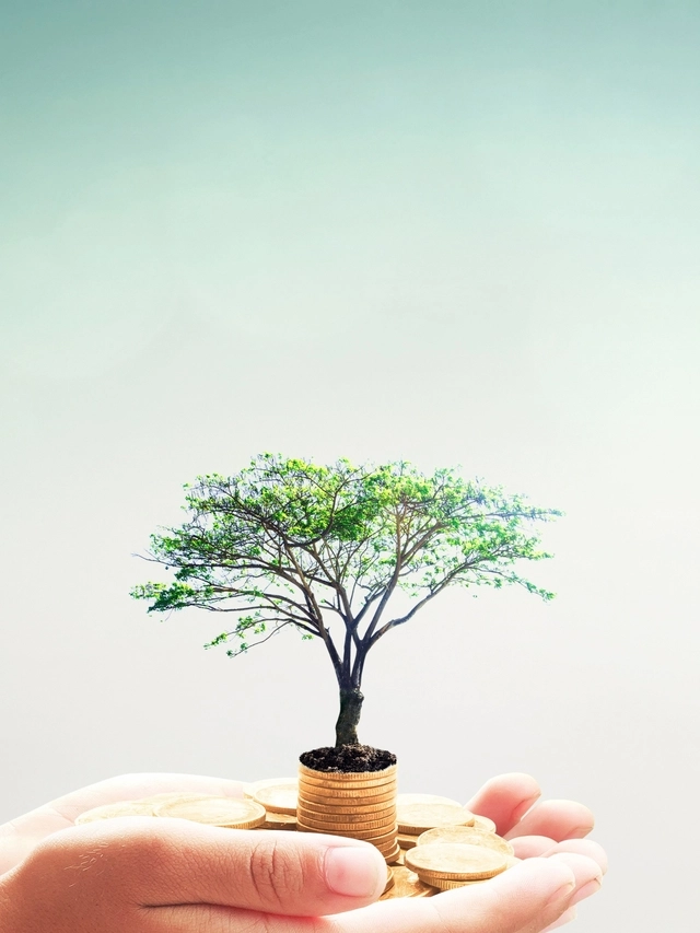 Mutual Fund Insight’s January edition has hit the shelves!