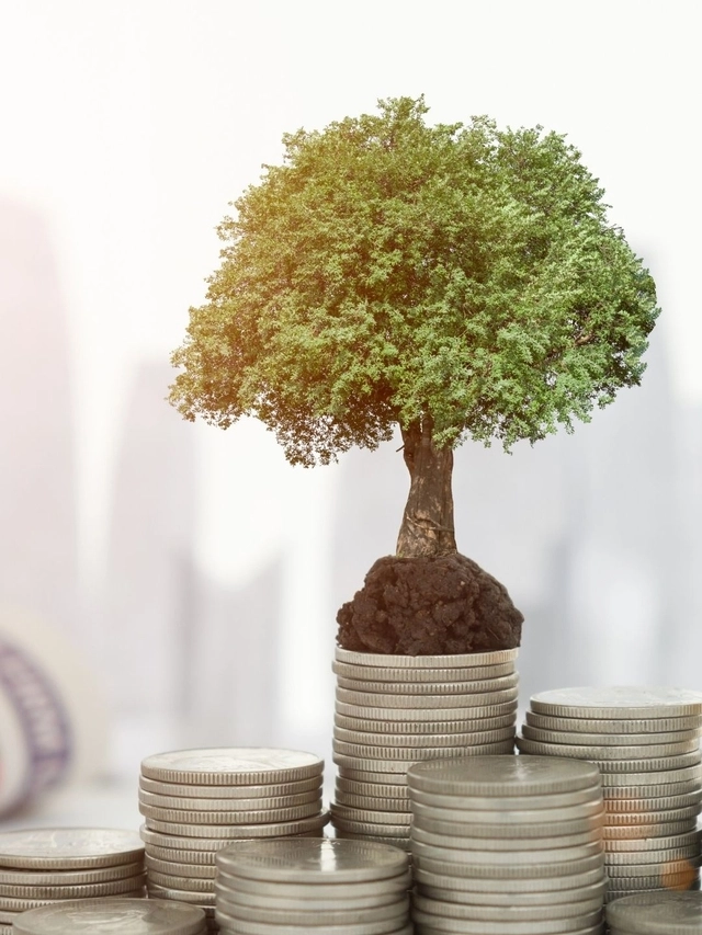 Daily vs Monthly SIPs: Which one is best?