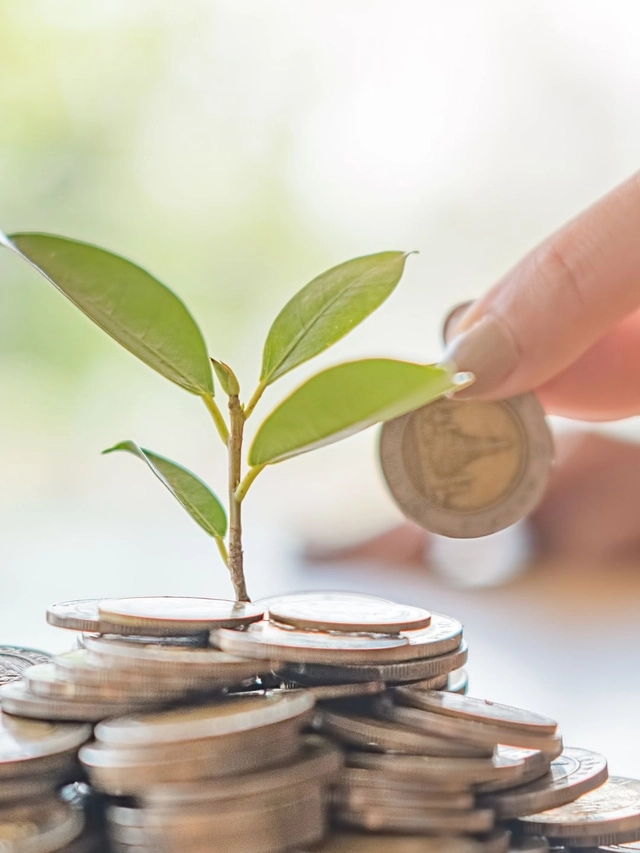 Record-breaking number of mutual fund launches