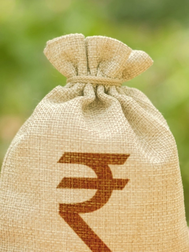 Interim budget 2024-25: Important highlights