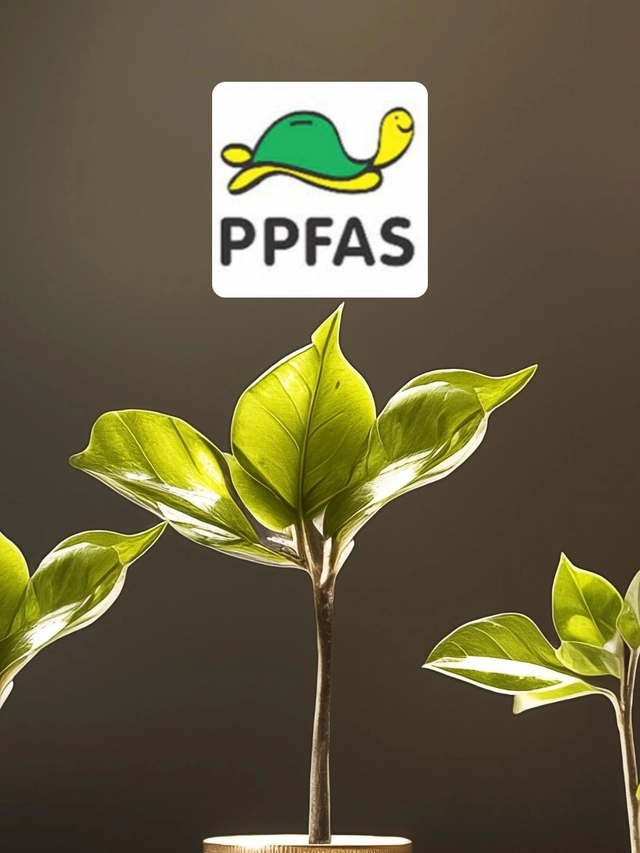 Parag Parikh Dynamic Asset Allocation Fund: Should you invest in it?