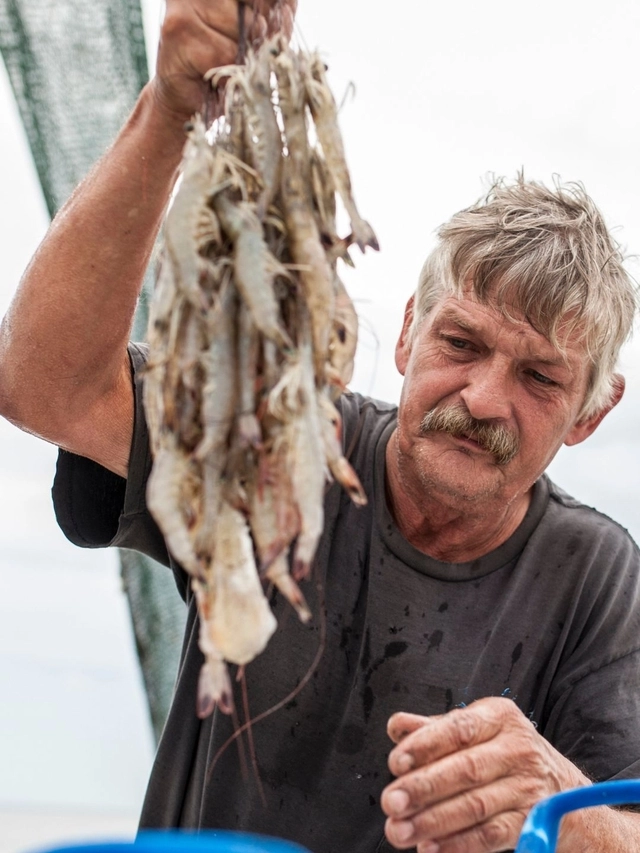 3 reasons why the shrimp industry has slumped lately